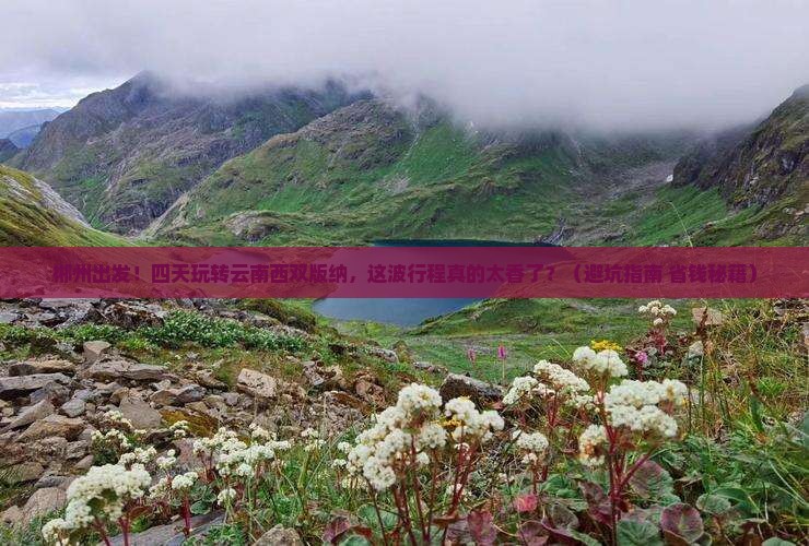 郴州到云南西双版纳四日游