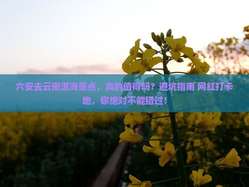 六安去云南洱海景点