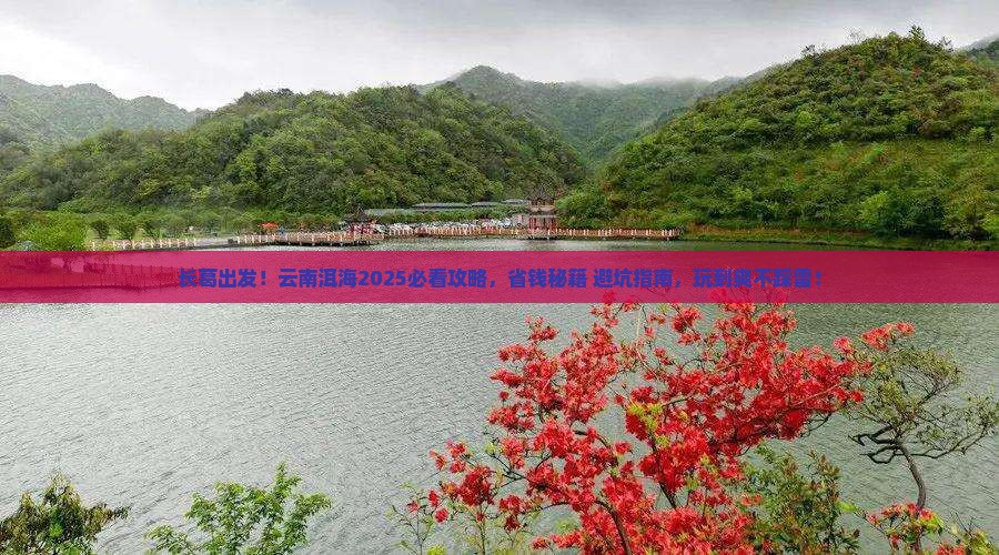 长葛到云南洱海哪里玩