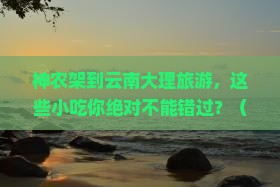 神农架去云南大理旅游小吃