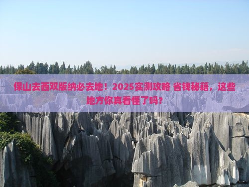 保山去云南西双版纳必去地