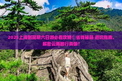 上海到云南昆明六日游