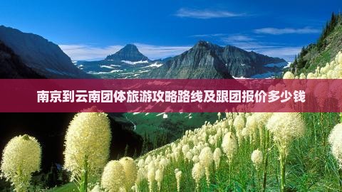 南京到云南团体旅游