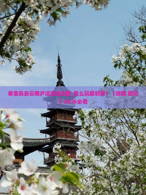 秦皇岛去云南泸沽湖自由团
