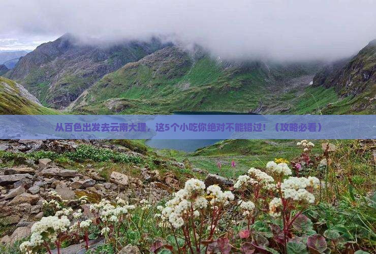 百色去云南大理旅游小吃