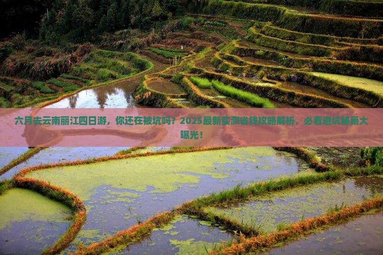 六月去云南丽江四日游