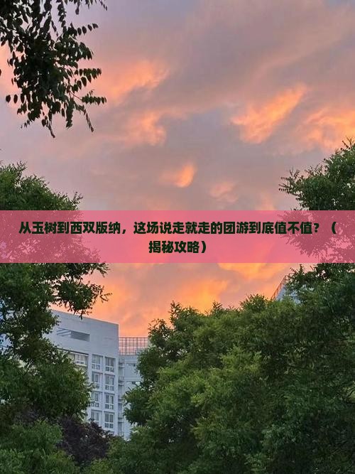 玉树去云南西双版纳团体旅游