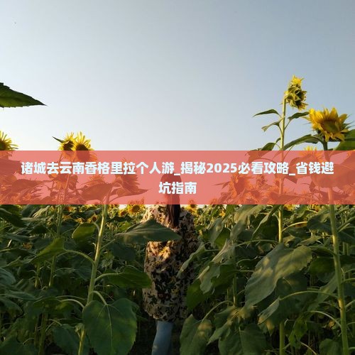 诸城去云南香格里拉个人游