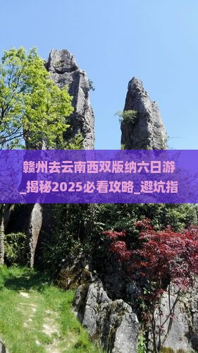 赣州去云南西双版纳六日游