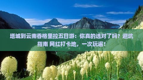 塔城到云南香格里拉五日游