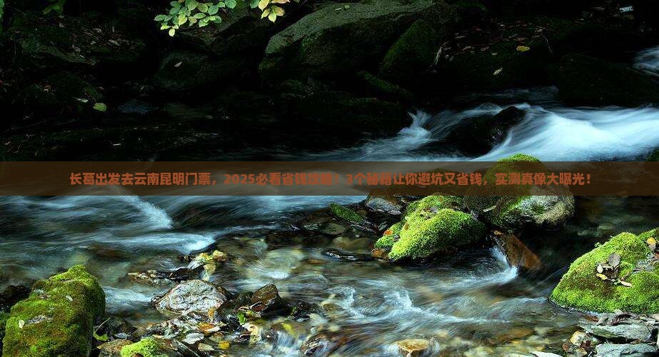 长葛去云南昆明门票