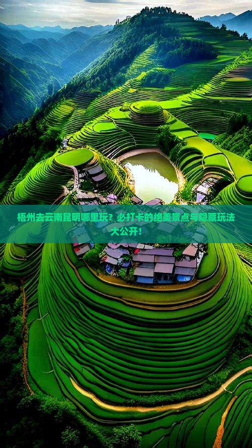 梧州去云南昆明哪里玩