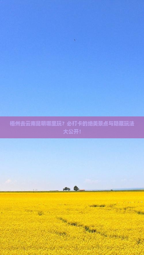 梧州去云南昆明哪里玩