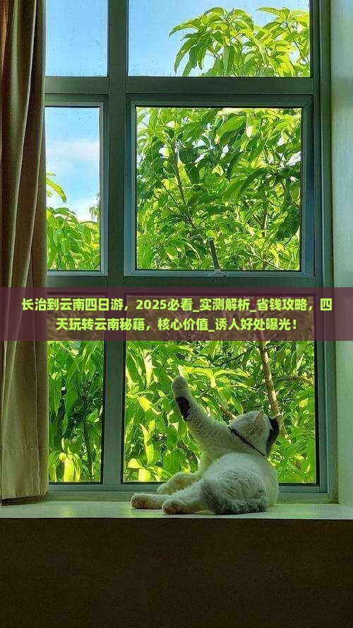 长治到云南四日游