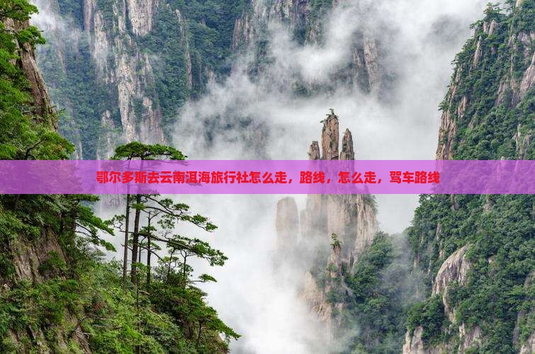 鄂尔多斯去云南洱海旅行社