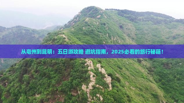 亳州去云南昆明五日游