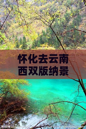 怀化去云南西双版纳景点