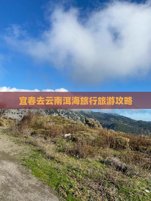 宜春去云南洱海旅行社