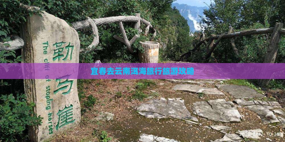 宜春去云南洱海旅行社