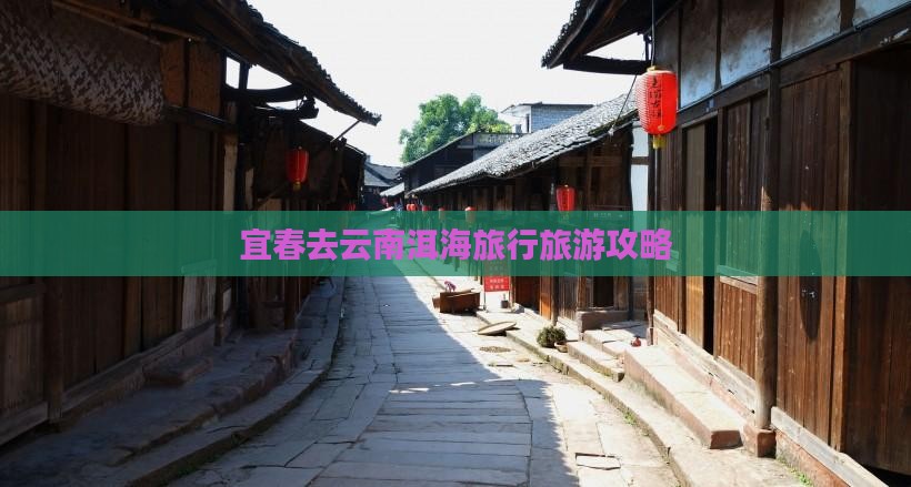宜春去云南洱海旅行社