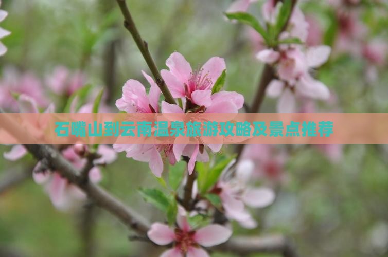 石嘴山到云南温泉个人游