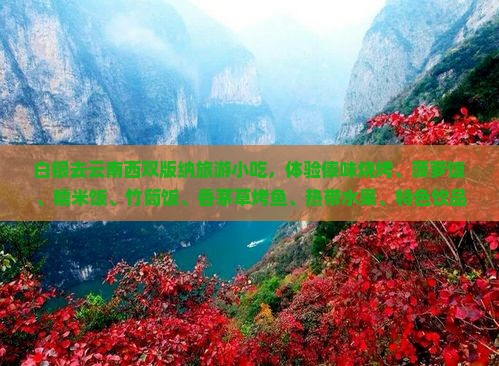 白银去云南西双版纳旅游小吃