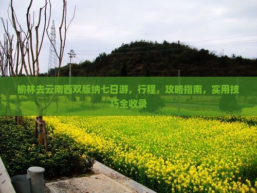 榆林去云南西双版纳七日游