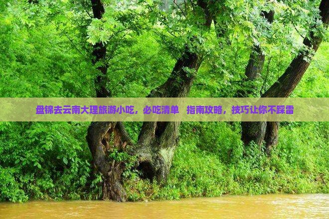 盘锦去云南大理旅游小吃
