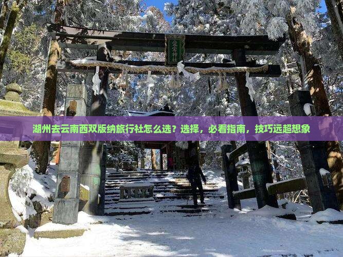 湖州去云南西双版纳旅行社