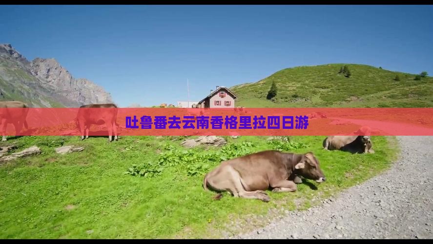 吐鲁番去云南香格里拉四日游
