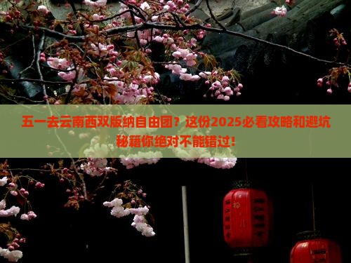 劳动节去云南西双版纳自由团