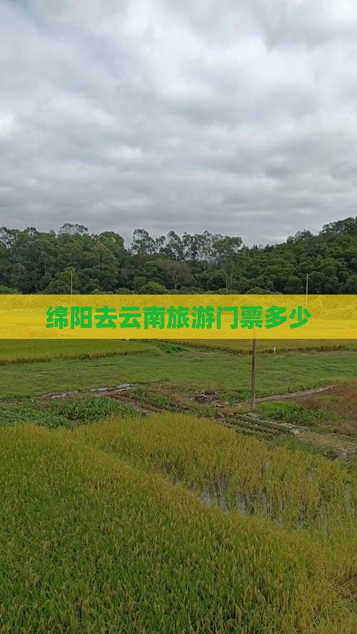 绵阳去云南门票