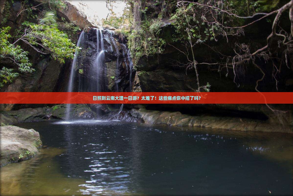 日照到云南大理一日