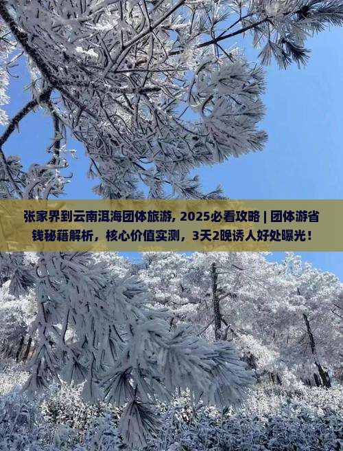 张家界到云南洱海团体旅游