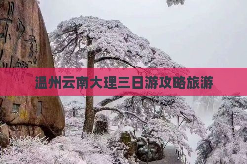 温州去云南大理三日游