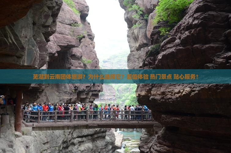 芜湖到云南团体旅游
