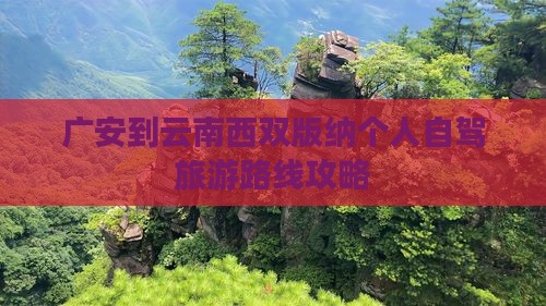 广安到云南西双版纳个人游