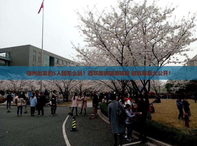 宿州到云南西双版纳团体旅游