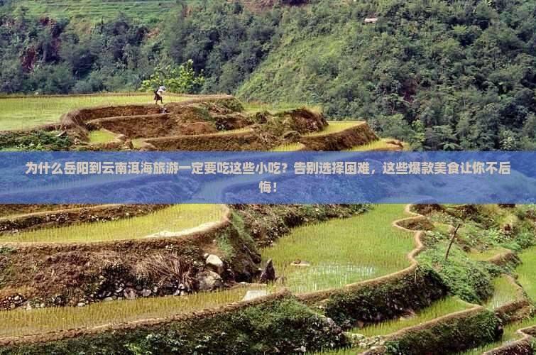 岳阳到云南洱海旅游小吃