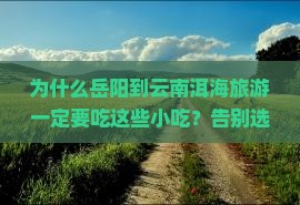 岳阳到云南洱海旅游小吃