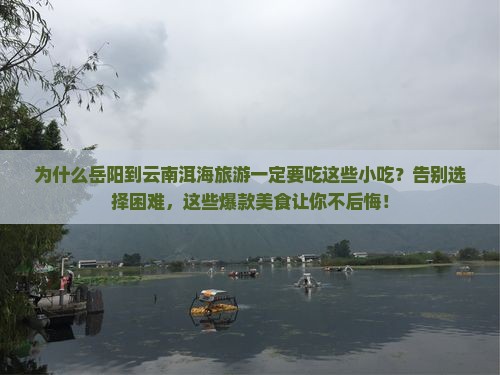 岳阳到云南洱海旅游小吃
