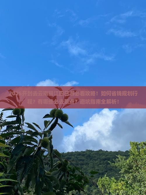 开封去云南丽江四日游 开封去云南丽江四日游