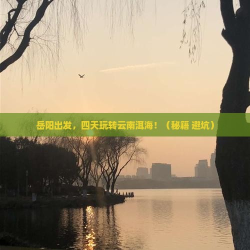 岳阳到云南洱海四日游