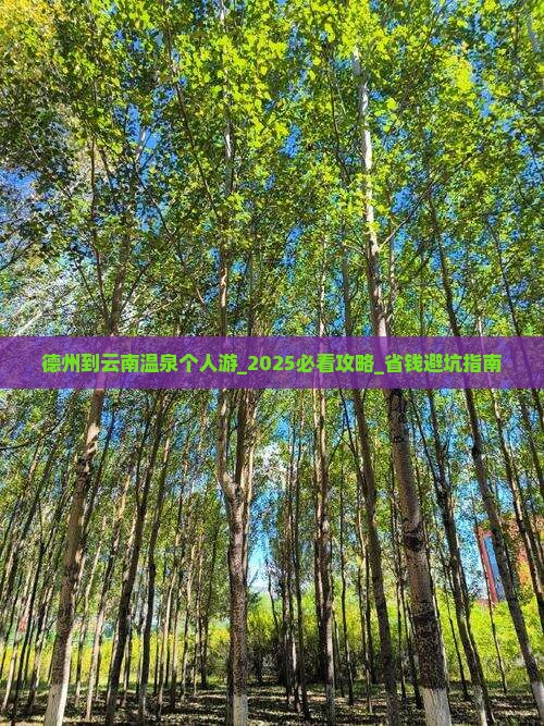 德州到云南温泉个人游
