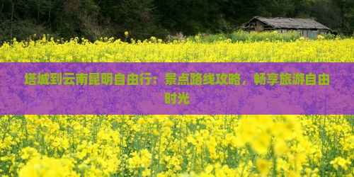 塔城到云南昆明自由行