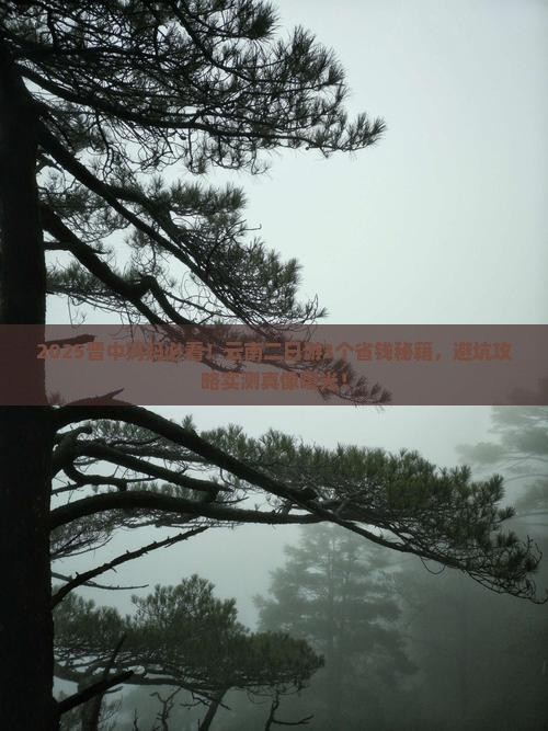 晋中去云南二日游