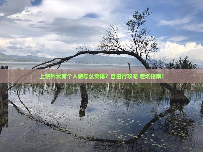 上饶到云南个人游 上饶到云南个人游