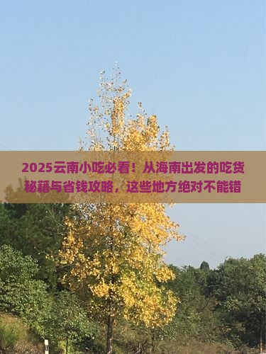 海南去云南旅游小吃