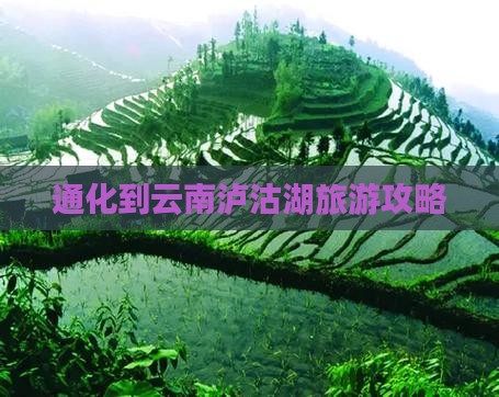 通化到云南泸沽湖攻略