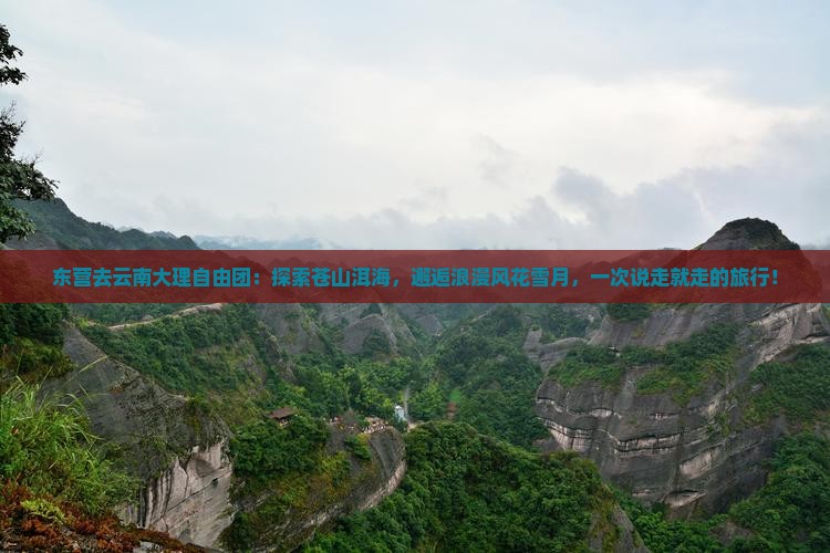 东营去云南大理自由团